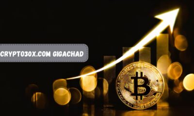 Crypto30x.com Gigachad