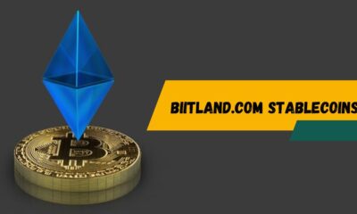 Biitland.com Stablecoins