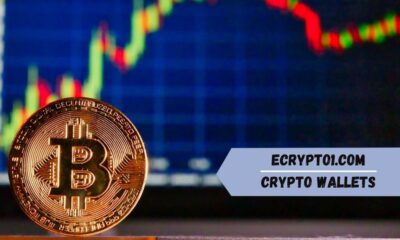 ecrypto1.com Crypto Wallets