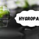 hygropack