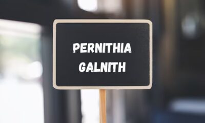 pernithia galnith