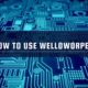 to Use Welloworpenz