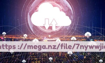 https ://mega.nz/file/7nywwjia