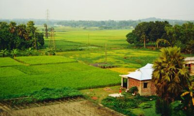 Ayodhya